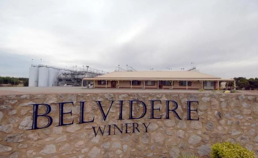 赠福特，送宝马，国花庄进口葡萄酒市场动作有点大