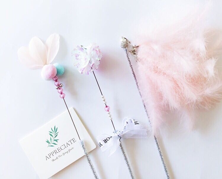 养猫必买哪几样东西 (新手养猫需要买的用品)