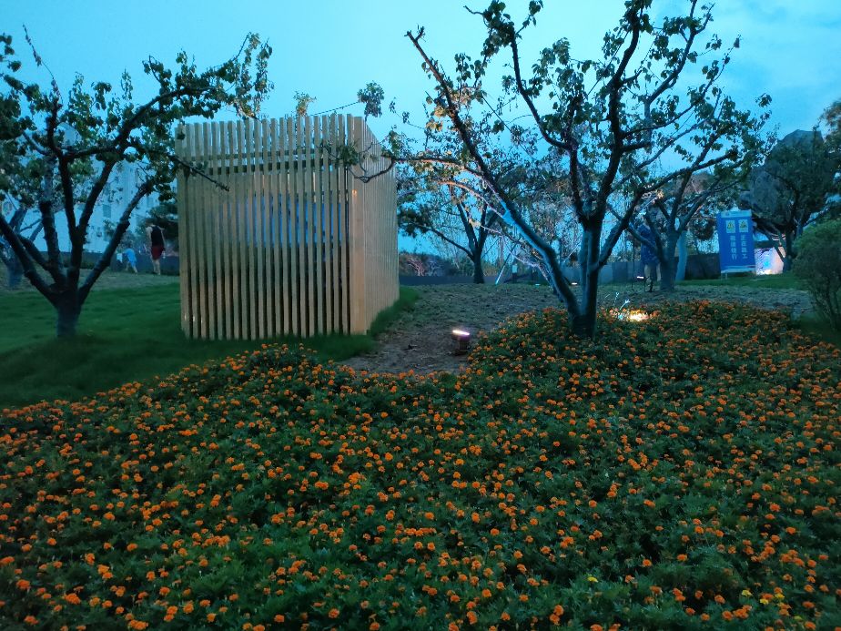 西安市的繁华地方小寨,西安小寨公园有哪些