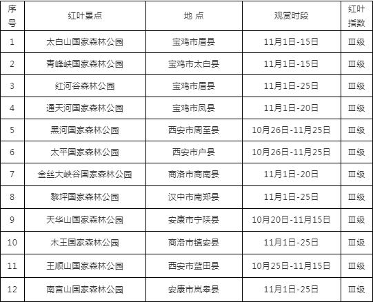 2021秦岭鸡窝子分水岭红叶,秦岭红叶最佳自驾线