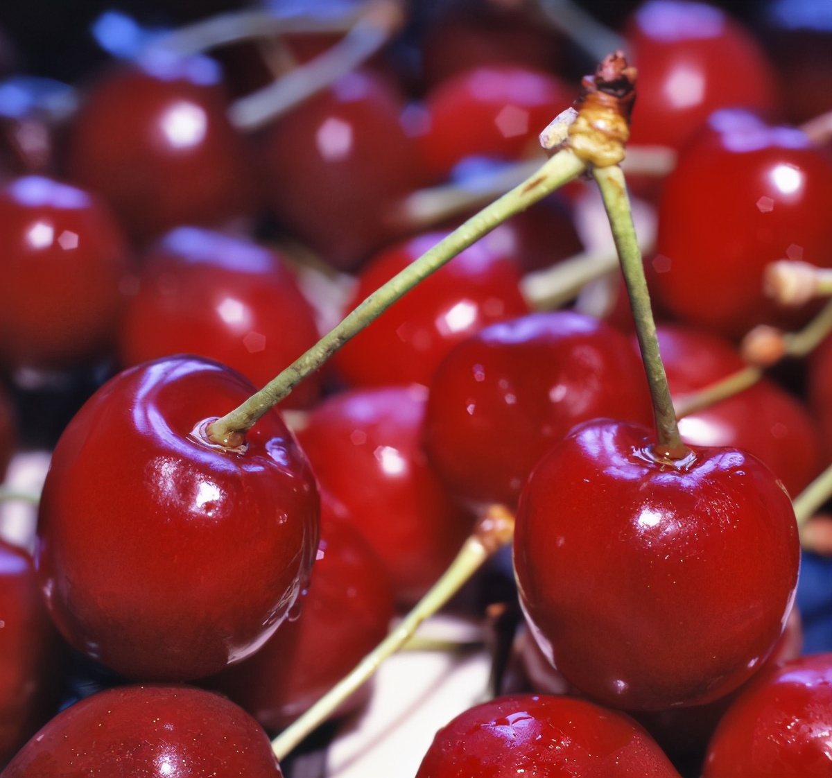 高血钾病能彻底治愈吗,高血钾最危险的症状