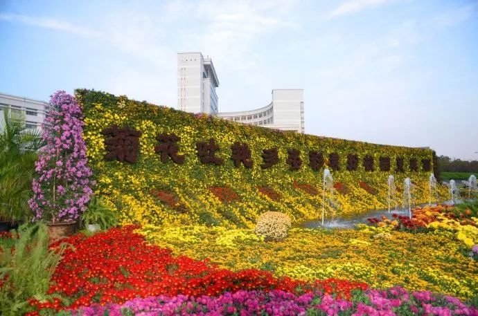 上海被低估的国际化学校,上海大学为啥被称为魔都良心大学