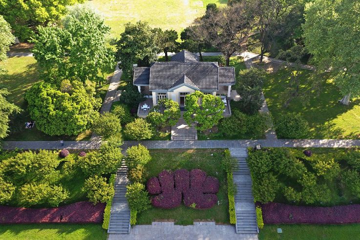 五一南京旅行全攻略,南京到处都是小虫子