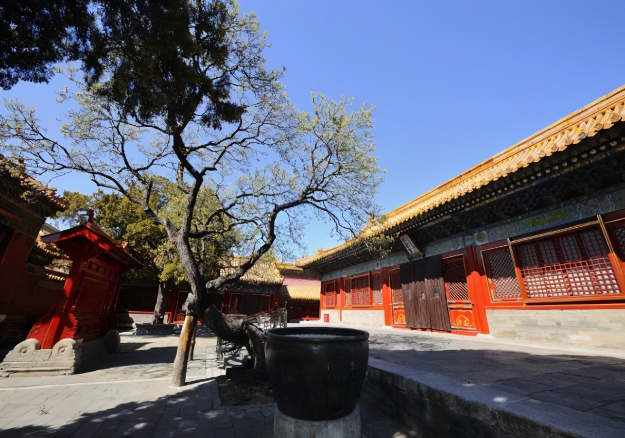 故宫散文游记2000字,故宫之美散文