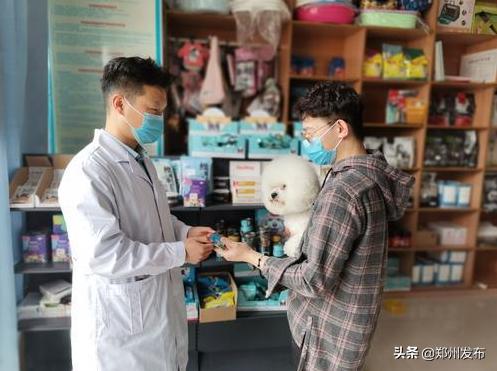 郑州养犬证怎么办理,郑州犬证在哪办