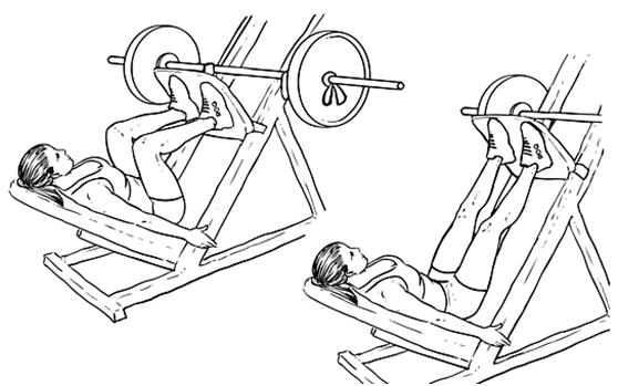 腿部脂肪要怎么快速练掉,腿部脂肪很硬怎么减肥