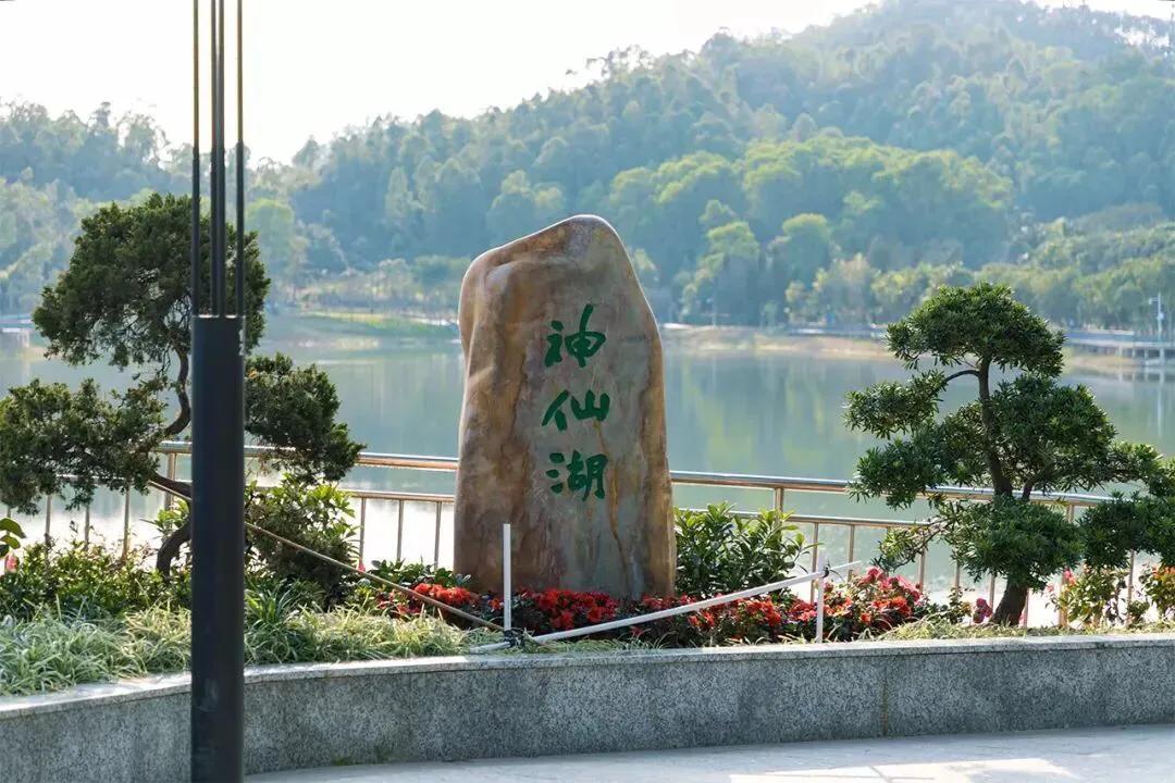 深圳市十大免费公园,深圳十大湖泊