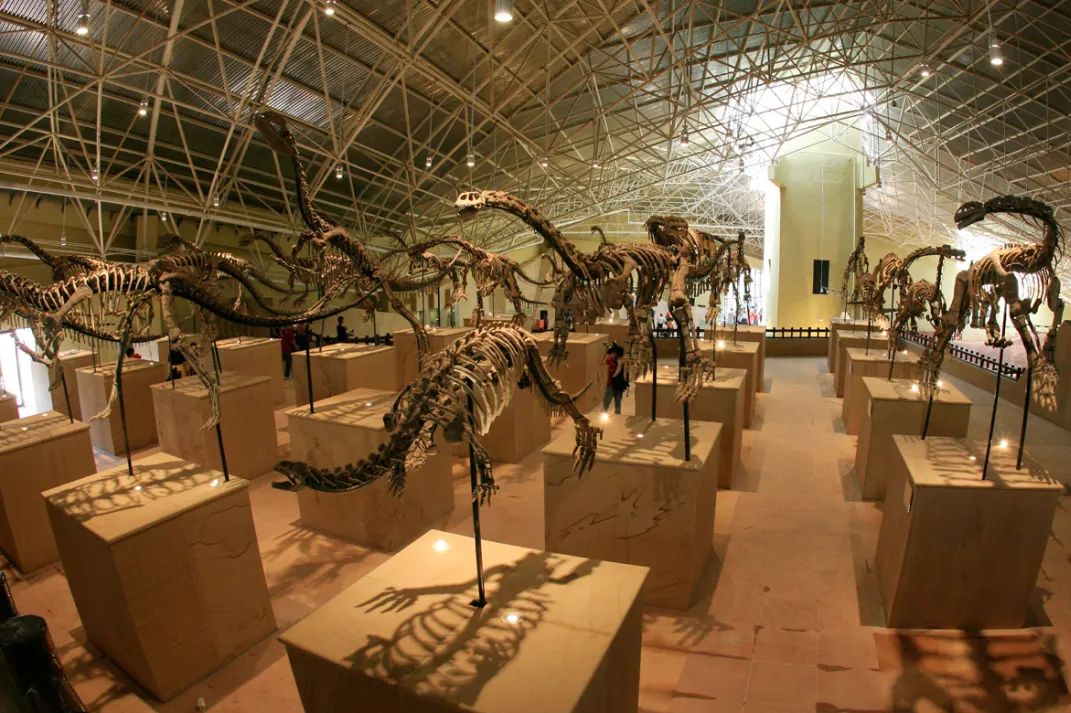 华侨城文化旅游节欢乐新生态,华侨城旅游节火热启幕