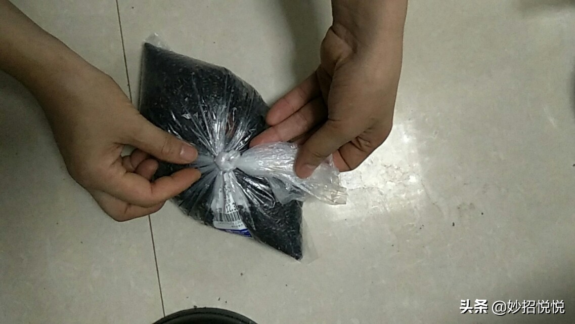 五谷杂粮放冰箱冷藏里还会生虫吗,五谷桶里放什么不易生虫