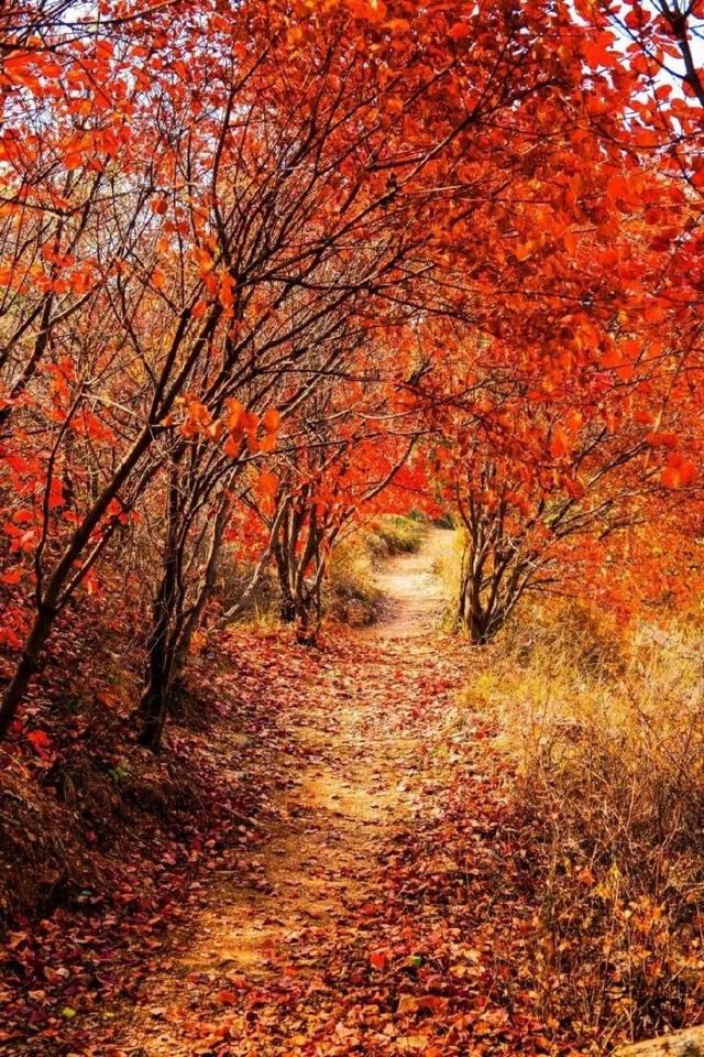 济南旅游景点推荐带孩子玩,济南旅游景点推荐适合带孩子