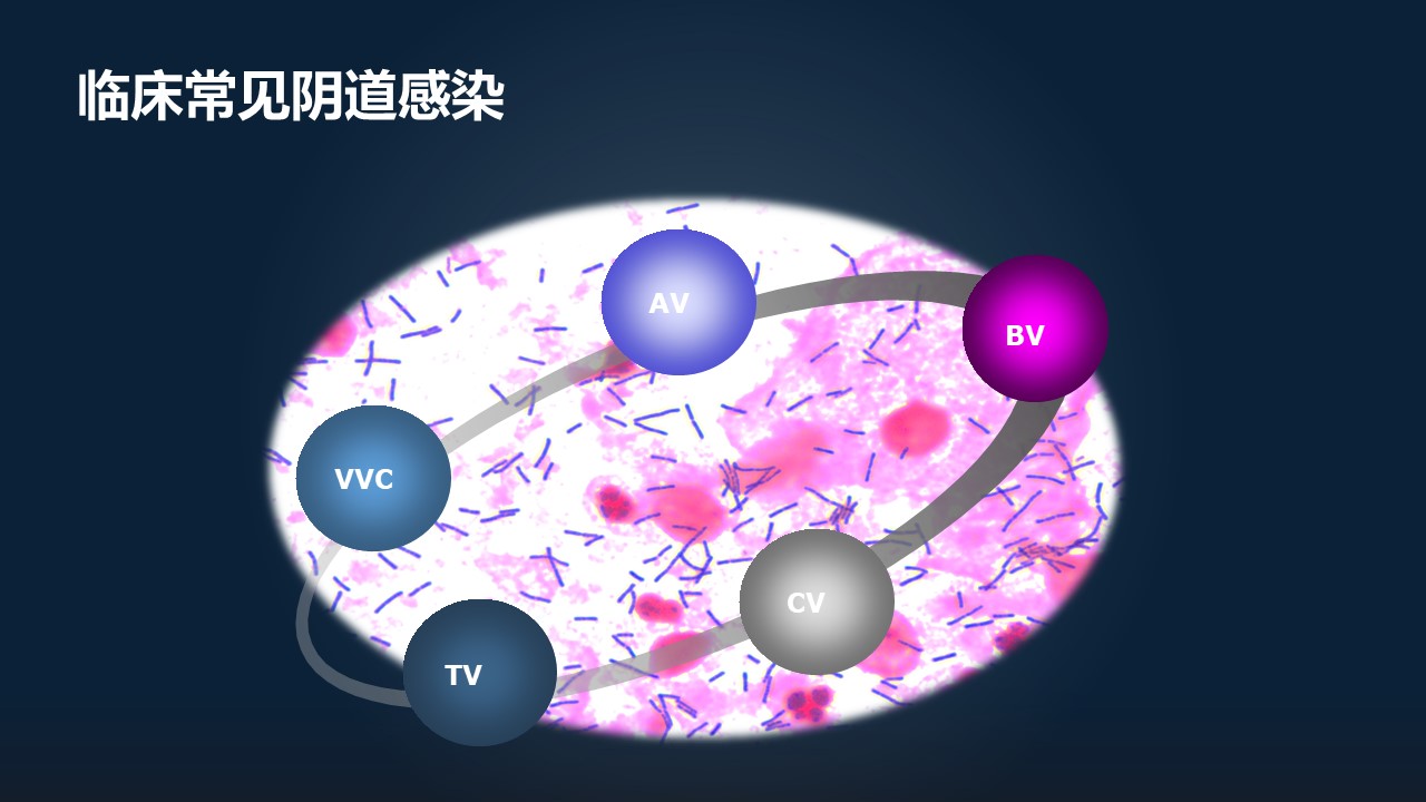 肖冰冰的小视频,肖冰冰讲的12生肖