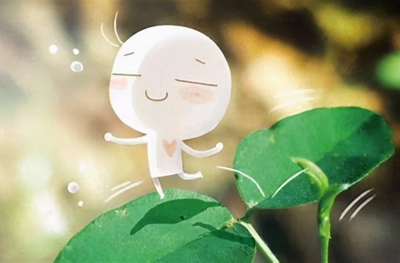 离婚了怎么办双女证,离婚了怎么办理独生子女证