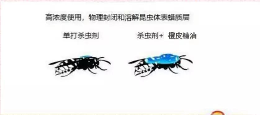 天然高效橙皮精油助剂,橙油助剂与有机硅助剂的区别