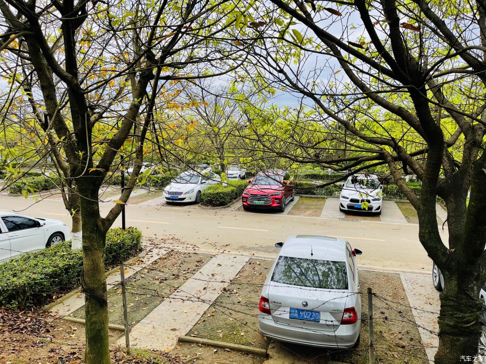 成都人会玩的景点,成都凤凰山公园可以爬山吗