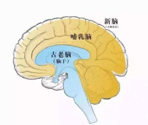 如何克制消费欲望,如何克制欲望和自控
