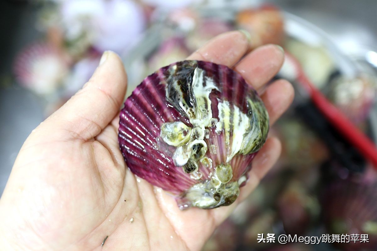 蒜茸粉丝扇贝的做法窍门,烧烤蒜蓉扇贝的做法视频教程