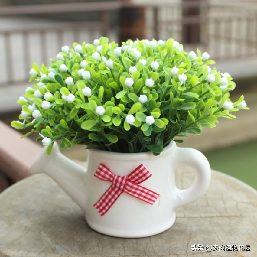 米兰叶子全部枯萎了还有补救吗,米兰长势不茂盛怎么回事