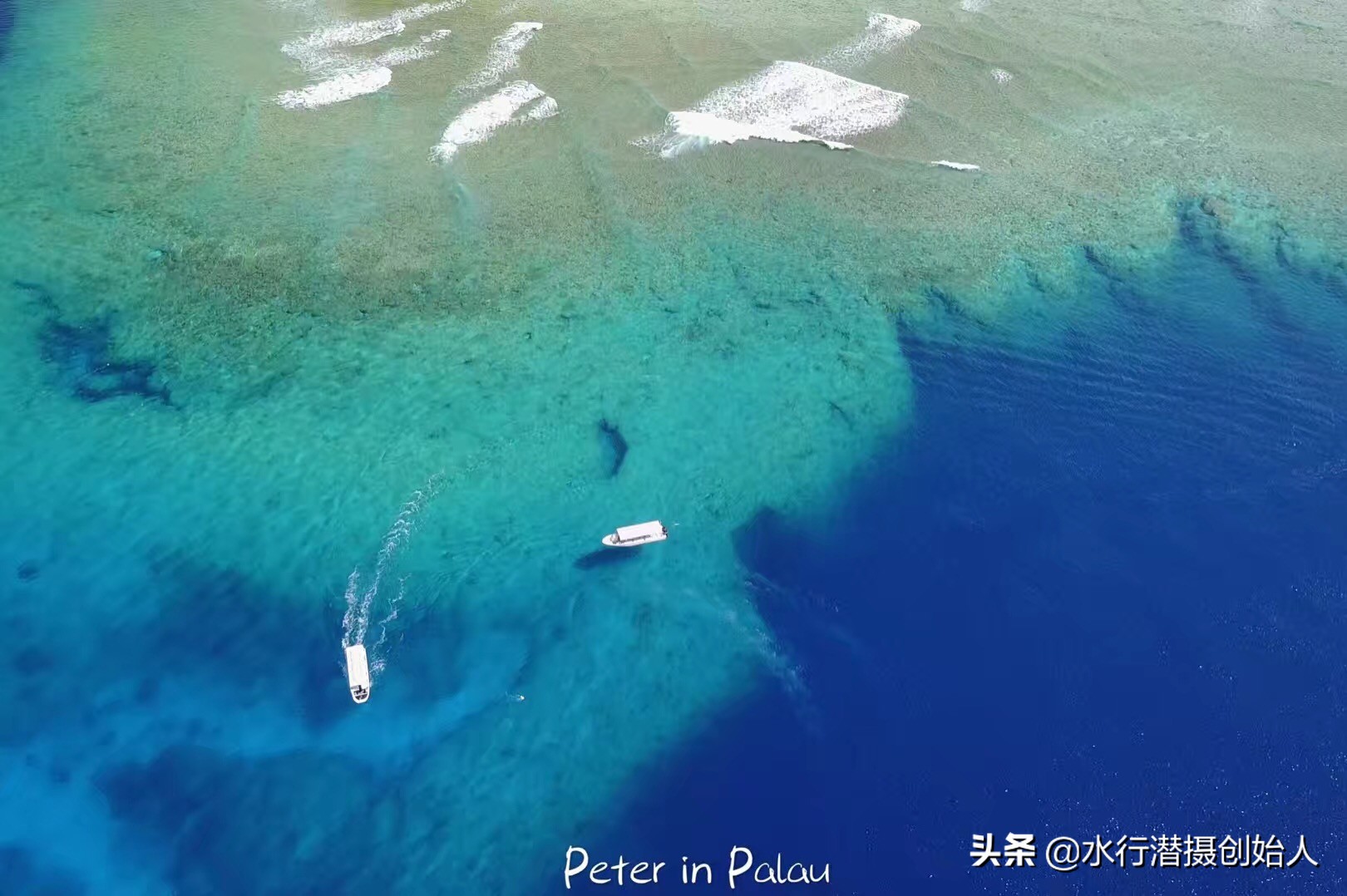 帕劳岛自由行潜水,帕劳水母湖自由潜视频