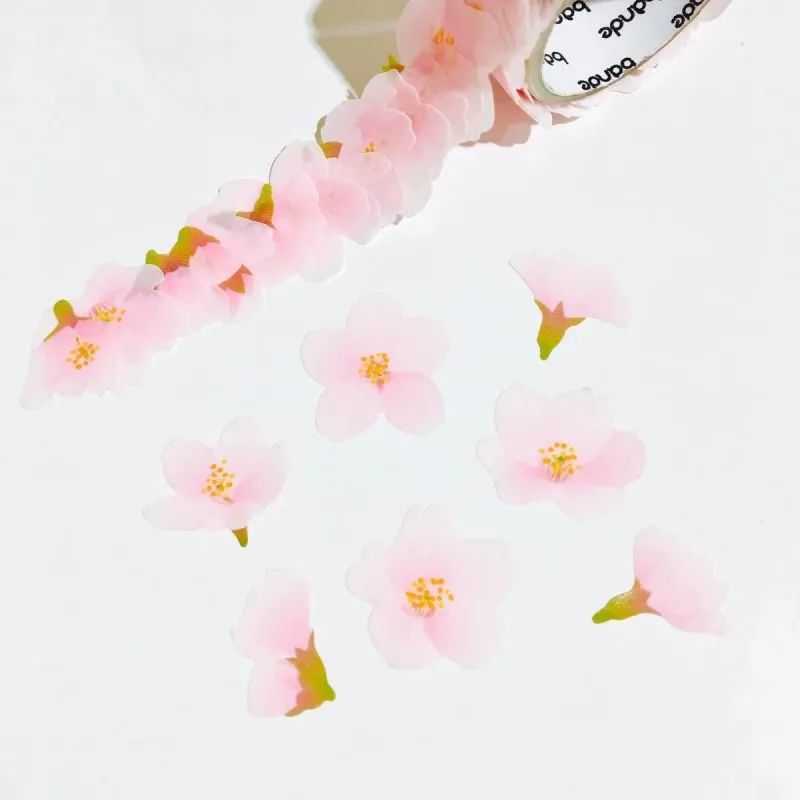 618好物种草大全,小众文具好物推荐