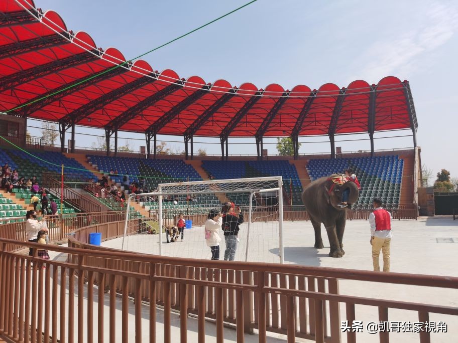 不一样的南通动物园,南通森林野生动物园和上海动物园