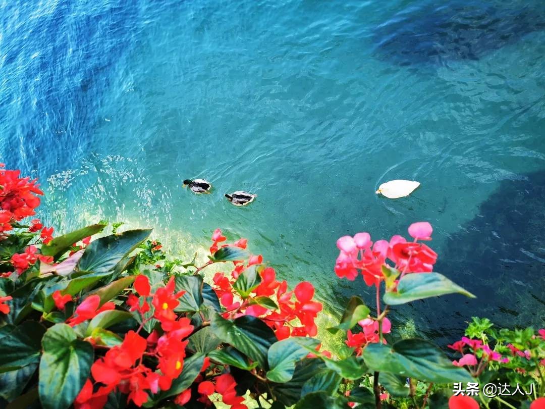 跟着小天去旅行,跟着小天玩游戏