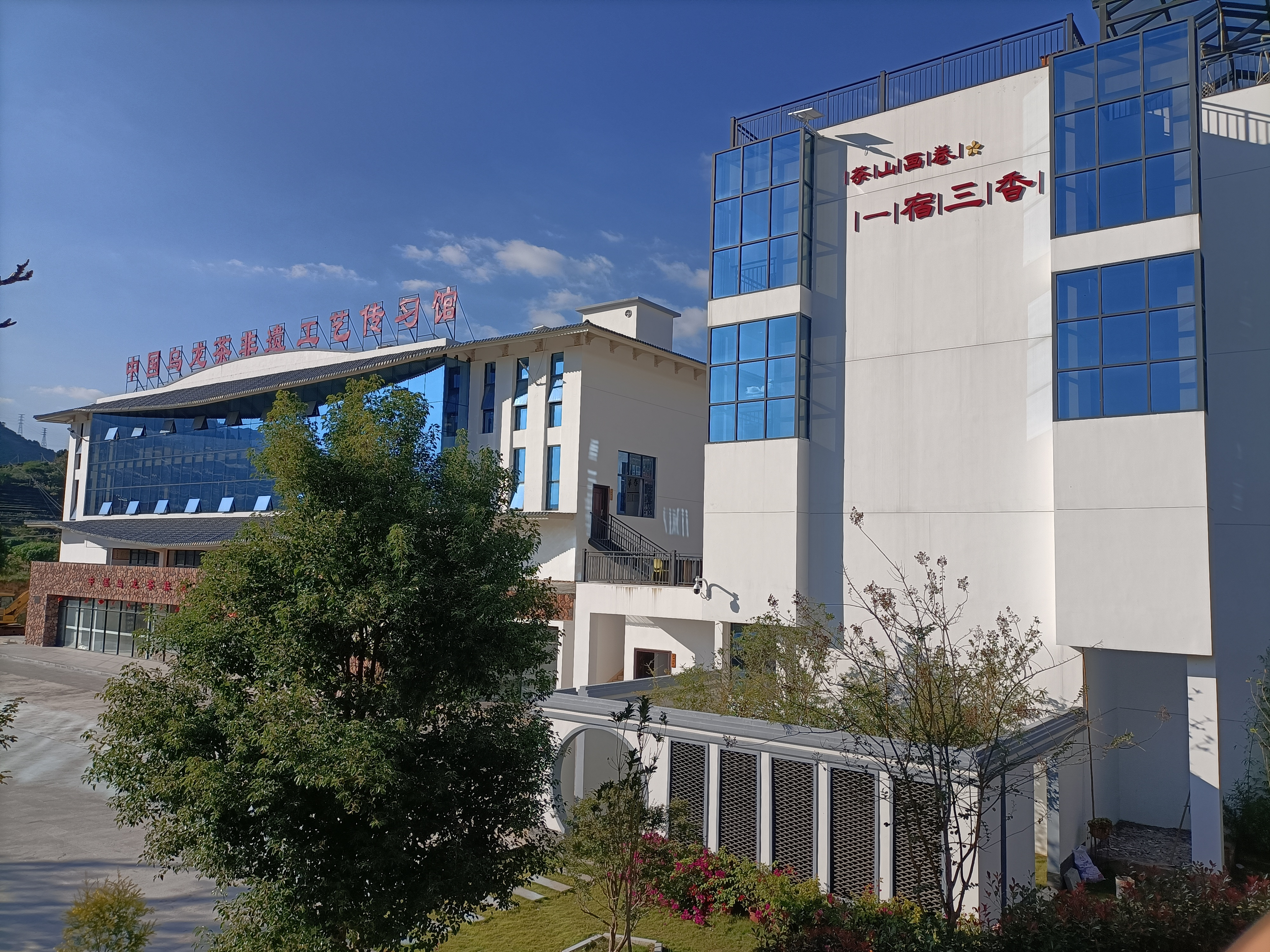 安溪铁观音茶好评第一名,安溪铁观音茶叶复购第一名