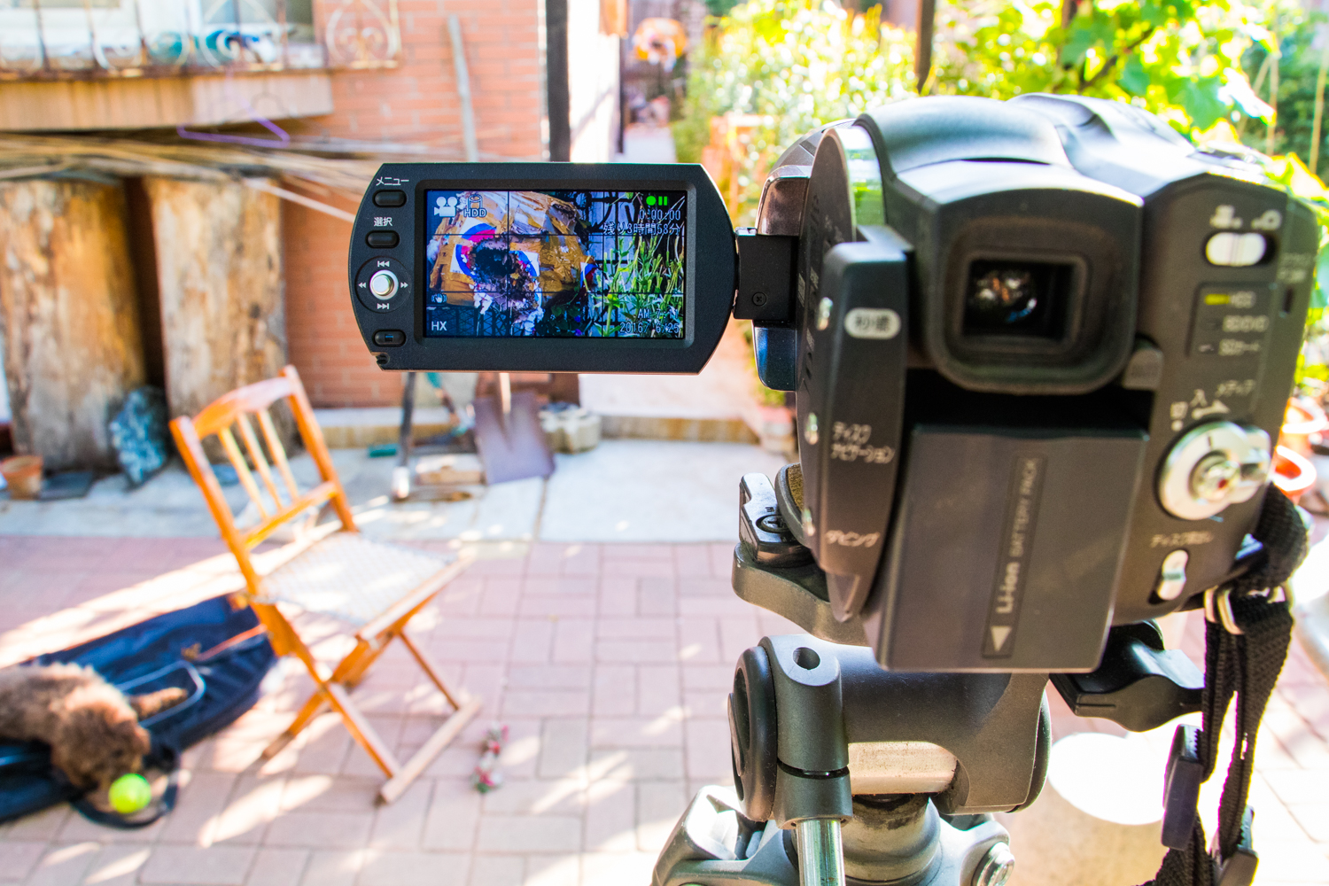 国产复合弓新手推荐,测试复合弓威力到底有多大