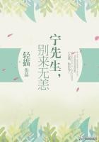 9本现言宠文:强推「完美先生与差不多小姐」「予你一生」
