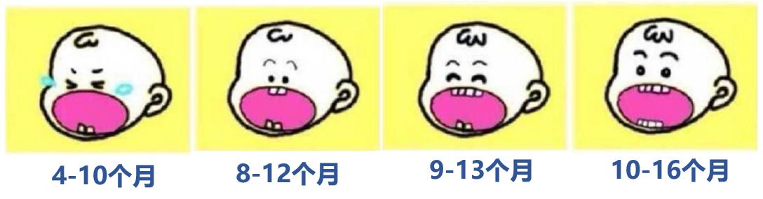 宝宝出牙口腔护理操作,宝宝出牙时期护理技巧大全