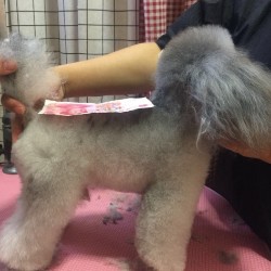 从遗传学角度培育品种,从遗传学的角度挑选伴侣