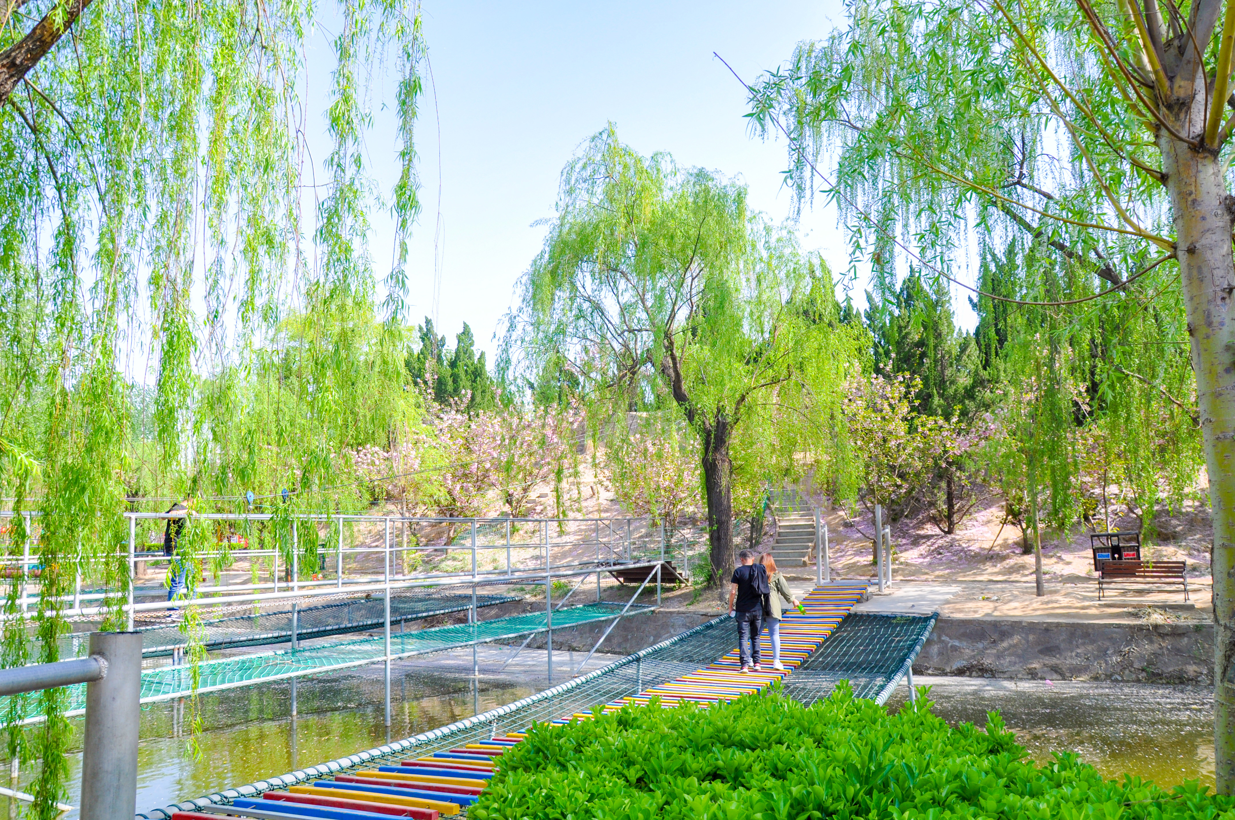 聊城姜堤乐园和周公河乐园哪个好,聊城姜堤乐园附近景区