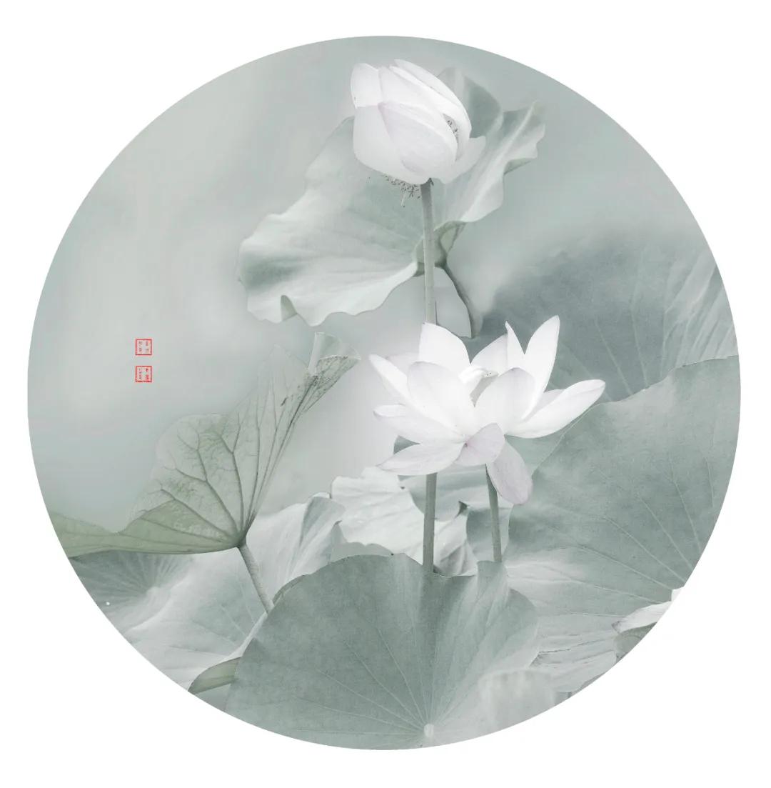 香港第14届全国摄影艺术展,第29届全国摄影艺术展览获奖名单