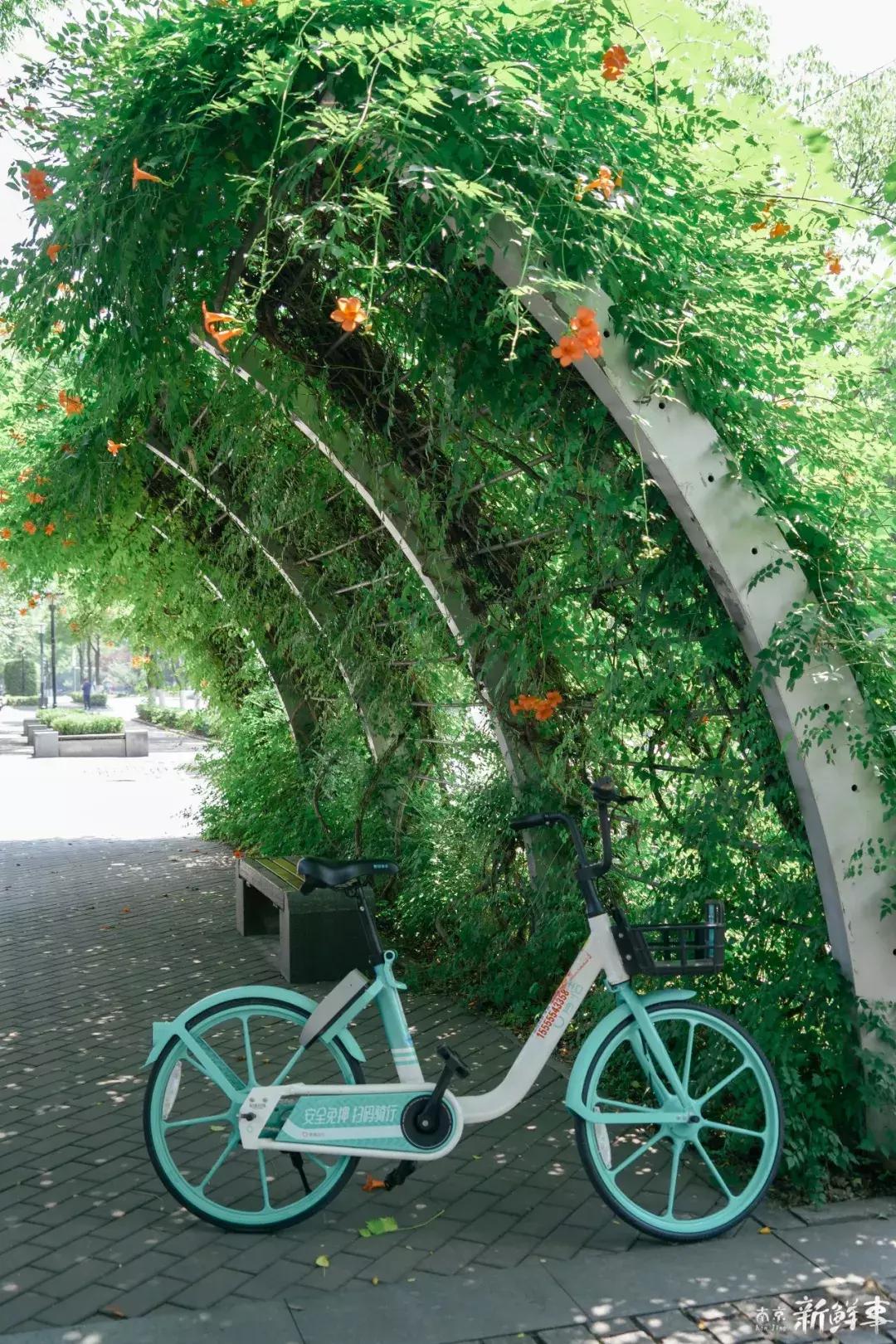 中华中学高中,中华中学