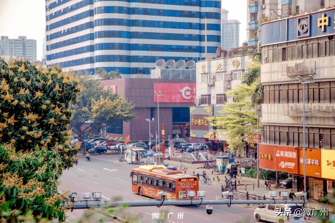 广州五羊邨富人区,广州被遗忘的荒村