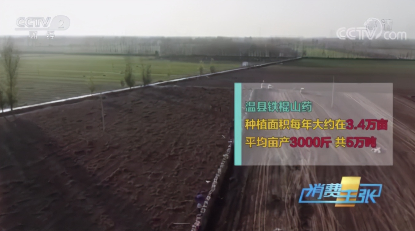 为什么淘宝山药那么便宜,铁棍山药价格差别大的原因