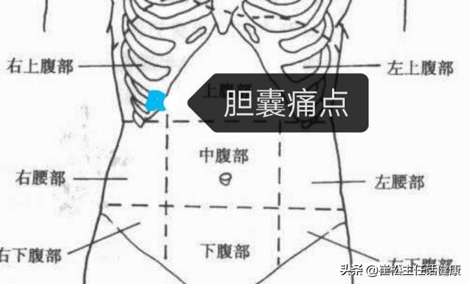 不想去医院第三弹！腹部不适的自我诊察