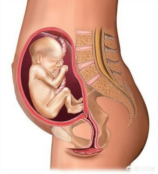 孕6个周有什么感觉和症状,怀孕第6个月孕妈需要注意的事