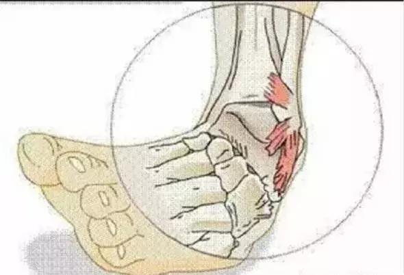 爱运动更好学习,爱运动保护好自己