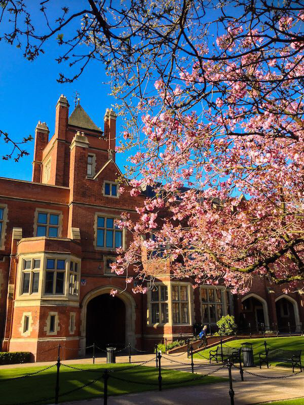 英国留学最容易申请的专业,英国留学可以申请什么课程