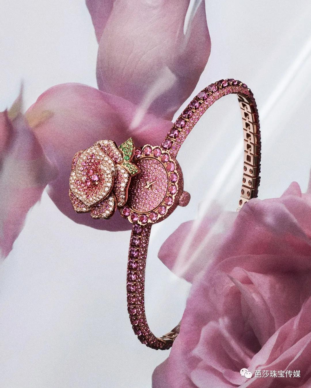 大牌高珠扎堆“上新”，外行看热闹、内行看什么？