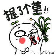 拔草｜二姨来问好，第一篇献给双十二拔草