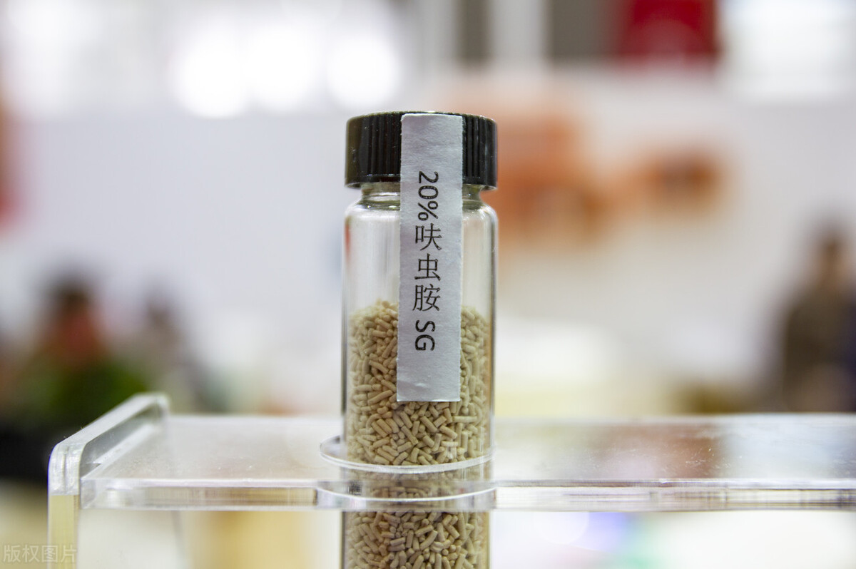 花盆里的小黑飞杀虫小妙招,花盆里小黑虫怎么消灭最彻底