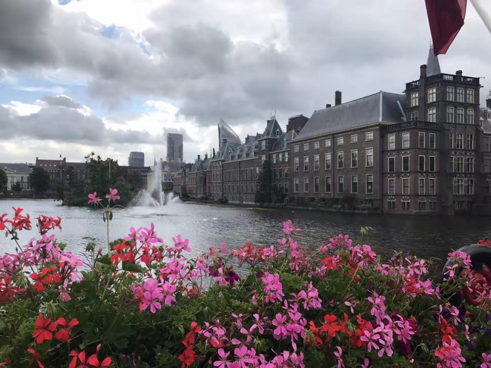 吸食*麻大**合法，*灯区红**明目张胆，荷兰为何还秩序井然，经济发达？