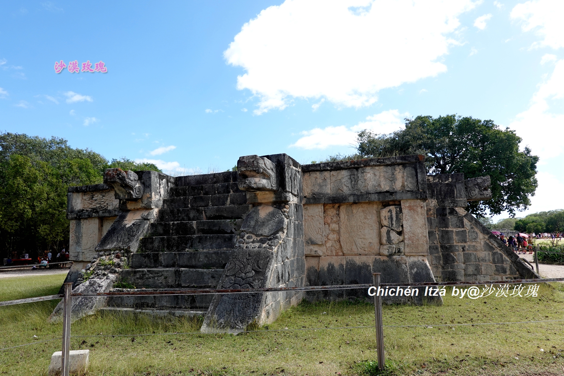 最血腥的足球比赛,足球最血腥的一场比赛