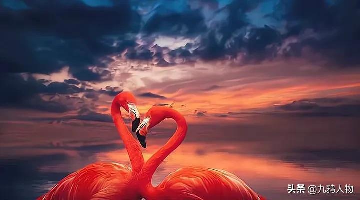 人生最可怕的事，是不知道身边躺着个张东升