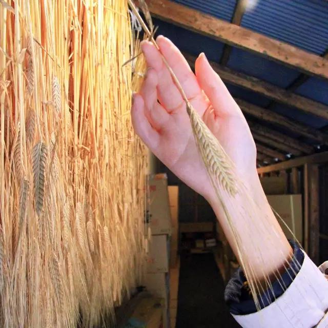 最近国内比较火的日本酒,那么多酒