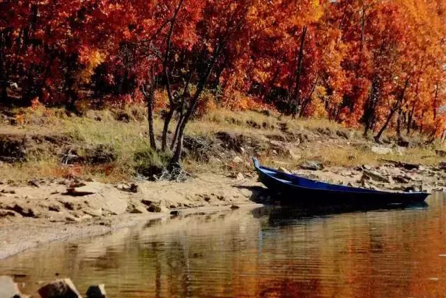 哈尔滨自驾三亚边走边玩最佳路线,哈尔滨到漠河自驾旅游攻略10天