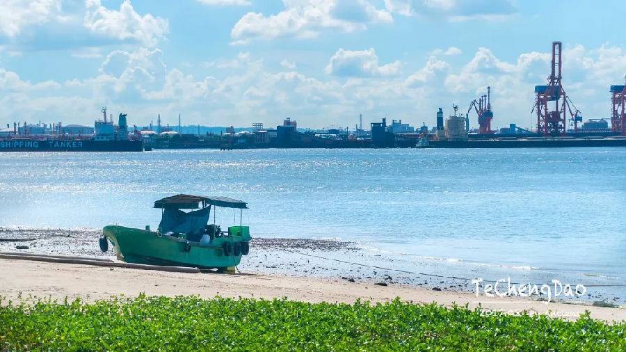 去湛江住特呈岛好还是住金沙湾好,今天湛江特呈岛风景区值得去吗