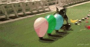 搞笑版的小萝莉,搞笑小萝莉图片