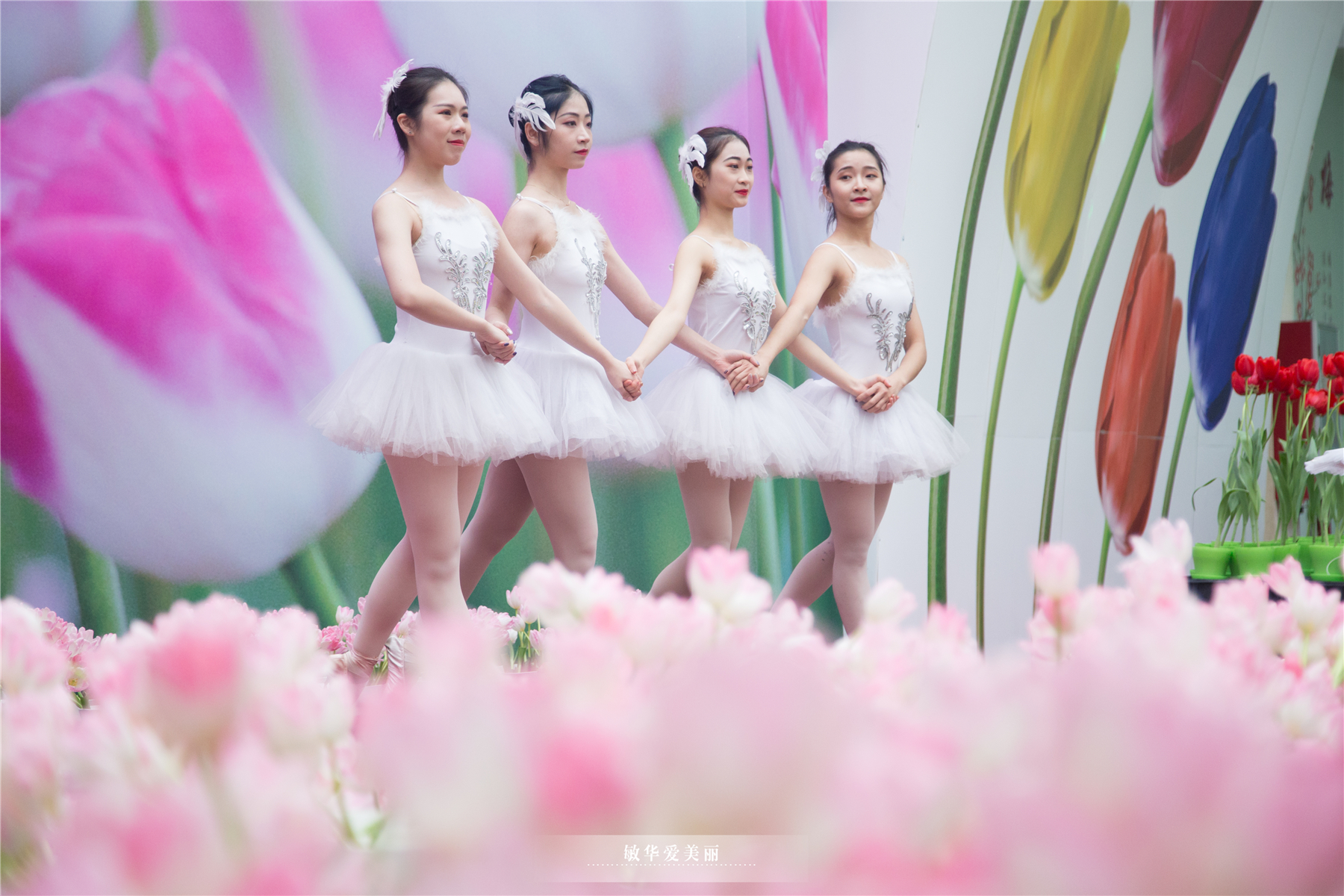 百万葵园攻略地图大全,百万葵园游玩注意事项